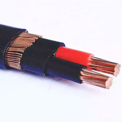 Two-Core Concentric Cable
