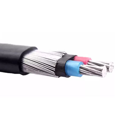 Two-Core Concentric Cable
