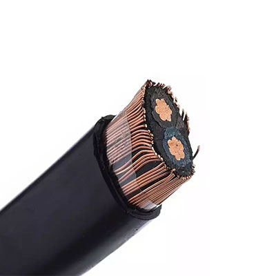 Two-Core Concentric Cable
