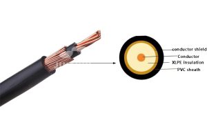 concentric cable